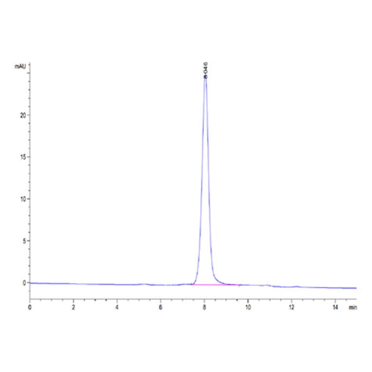 SEC-HPLC - Recombinant Human SIRP beta 1 Protein (Biotin) (C-terminal His and Avi Tag) (A331866) - Antibodies.com