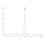 SEC-HPLC - Recombinant Human SIRP beta 1 Protein (Biotin) (C-terminal His and Avi Tag) (A331866) - Antibodies.com