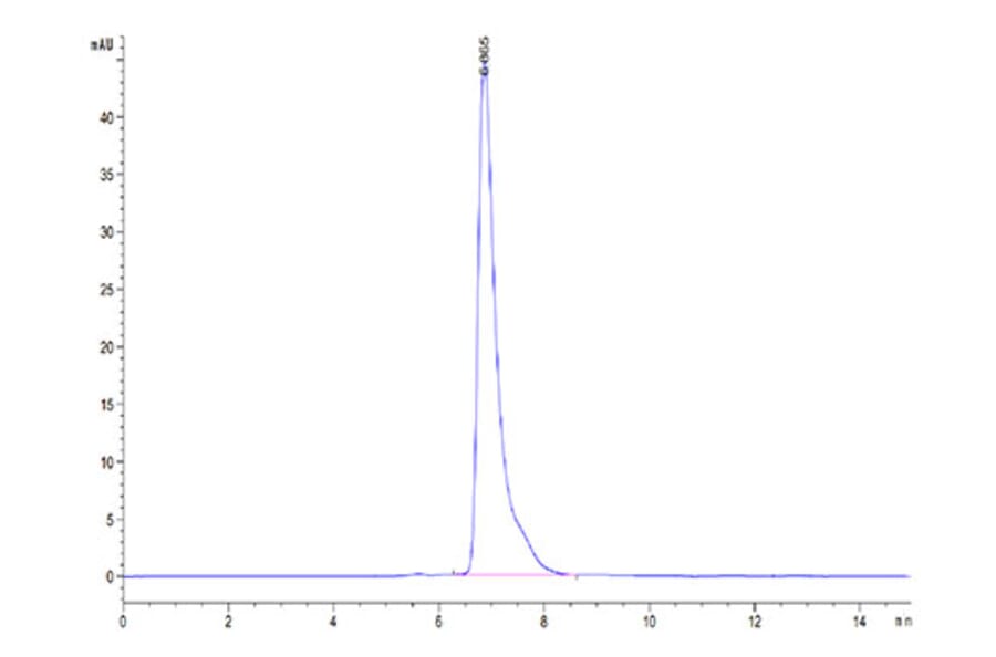 SEC-HPLC - Recombinant Mouse SLAMF6 Protein (C-terminal Human Fc Tag) (A331869) - Antibodies.com