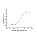 Proliferation Assay - Recombinant Mouse TGF-alpha Protein (C-terminal Human Fc Tag) (A331874) - Antibodies.com