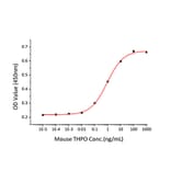 Proliferation Assay - Recombinant Mouse Thrombopoietin Protein (C-terminal His Tag) (A331877) - Antibodies.com