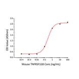 Cytotoxicity inhibition assay - Recombinant Mouse Osteoprotegerin Protein (C-terminal Human Fc and His Tag) (A331886) - Antibodies.com