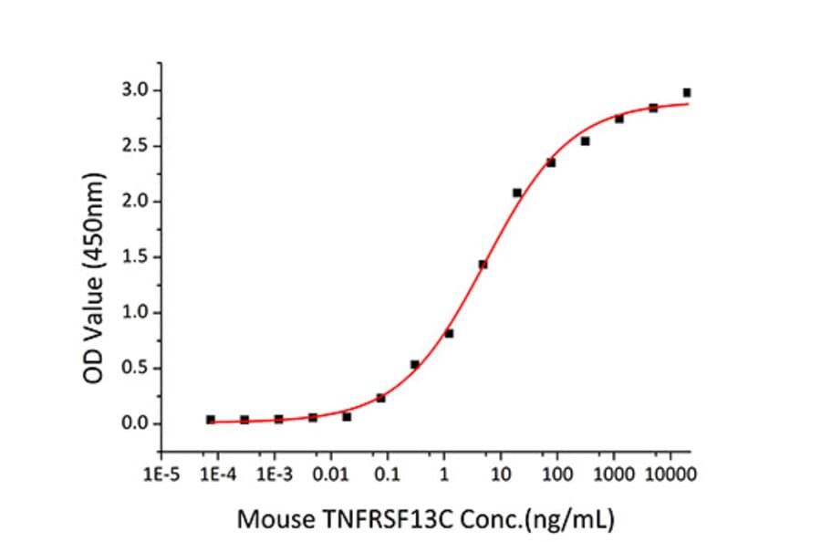 Standard Curve - Recombinant Mouse TNFRSF13C Protein (C-terminal Human Fc and Avi Tag) (A331887) - Antibodies.com