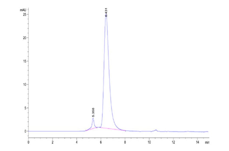 SEC-HPLC - Recombinant Cynomolgus macaque BCMA Protein (C-terminal Human Fc Tag) (A331888) - Antibodies.com