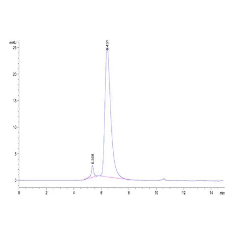 SEC-HPLC - Recombinant Cynomolgus macaque BCMA Protein (C-terminal Human Fc Tag) (A331888) - Antibodies.com
