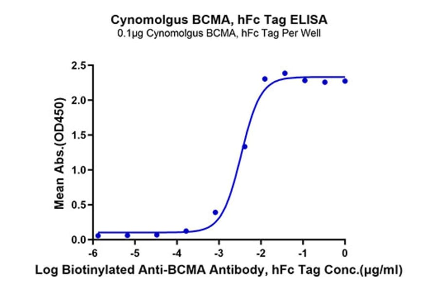 Standard Curve - Recombinant Cynomolgus macaque BCMA Protein (C-terminal Human Fc Tag) (A331888) - Antibodies.com
