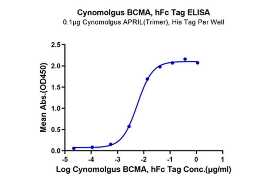 Standard Curve - Recombinant Cynomolgus macaque BCMA Protein (C-terminal Human Fc Tag) (A331888) - Antibodies.com