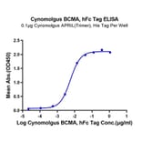 Standard Curve - Recombinant Cynomolgus macaque BCMA Protein (C-terminal Human Fc Tag) (A331888) - Antibodies.com