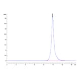 SEC-HPLC - Recombinant Mouse BCMA Protein (C-terminal His and Avi Tag) (A331889) - Antibodies.com