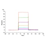 SPR Assay - Recombinant Mouse BCMA Protein (C-terminal His and Avi Tag) (A331889) - Antibodies.com