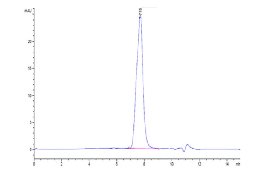 SEC-HPLC - Recombinant Mouse BCMA Protein (C-terminal Human Fc Tag) (A331890) - Antibodies.com