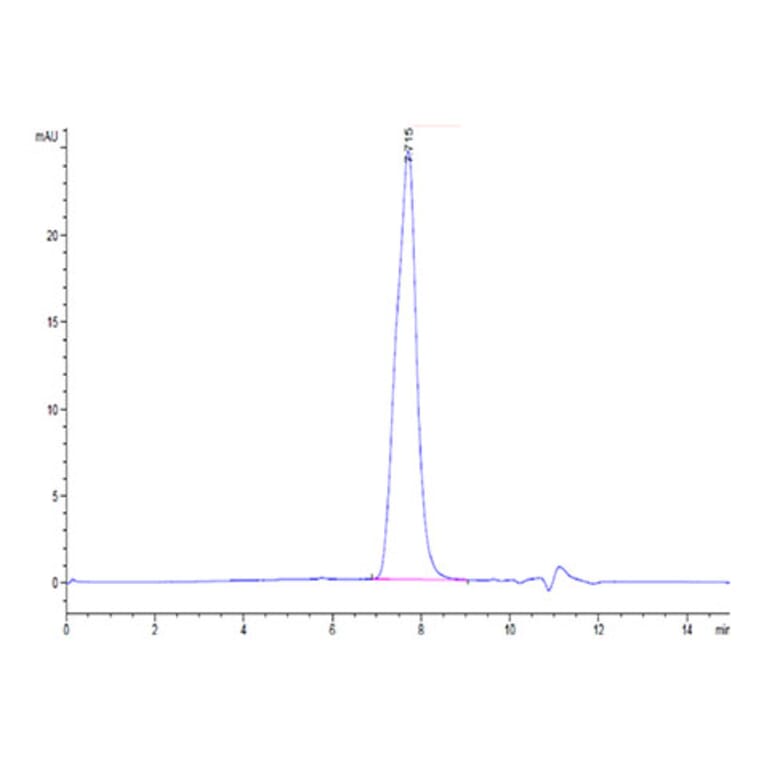 SEC-HPLC - Recombinant Mouse BCMA Protein (C-terminal Human Fc Tag) (A331890) - Antibodies.com