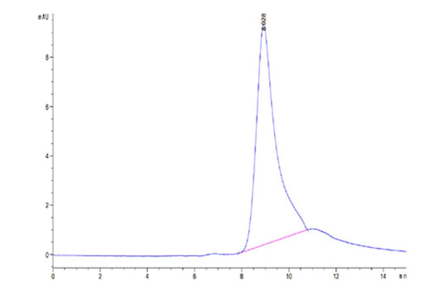 SEC-HPLC - Recombinant Mouse BCMA Protein (Biotin) (C-terminal His and Avi Tag) (A331891) - Antibodies.com
