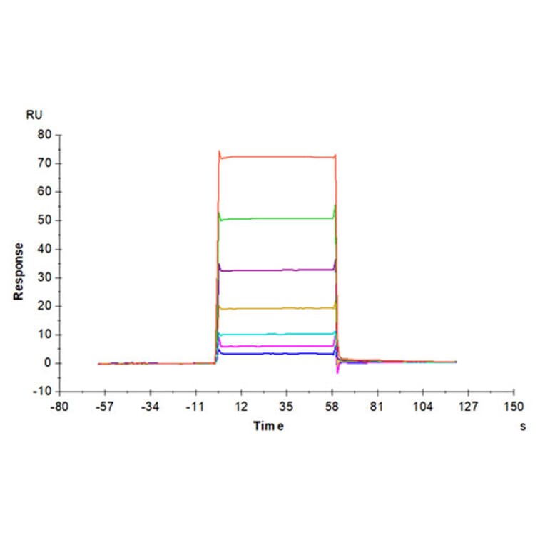 SPR Assay - Recombinant Mouse BCMA Protein (Biotin) (C-terminal His and Avi Tag) (A331891) - Antibodies.com