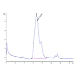 SEC-HPLC - Recombinant Mouse GITR Protein (C-terminal His Tag) (A331893) - Antibodies.com