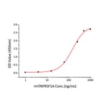 Cytotoxicity inhibition assay - Recombinant Mouse TNFRSF1A Protein (C-terminal Human Fc and His Tag) (A331894) - Antibodies.com