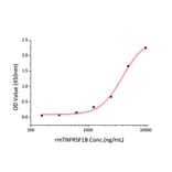 Cytotoxicity inhibition assay - Recombinant Mouse TNFRSF1B Protein (C-terminal His Tag) (A331896) - Antibodies.com