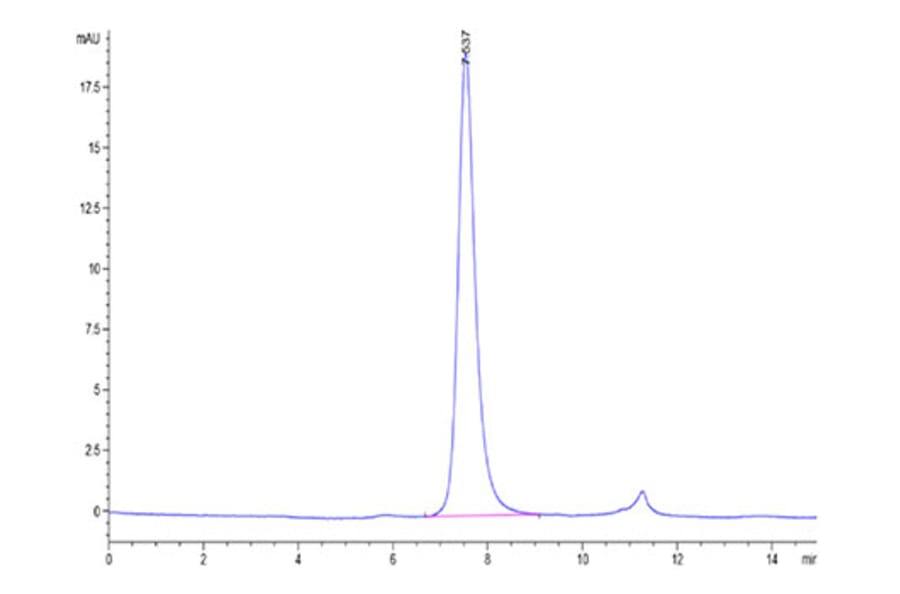 SEC-HPLC - Recombinant Cynomolgus macaque CD40 Protein (C-terminal His Tag) (A331899) - Antibodies.com