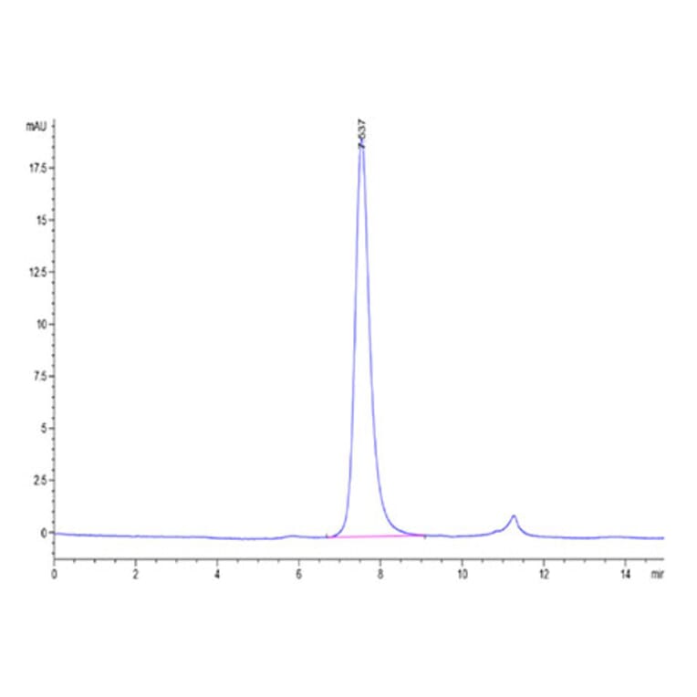 SEC-HPLC - Recombinant Cynomolgus macaque CD40 Protein (C-terminal His Tag) (A331899) - Antibodies.com