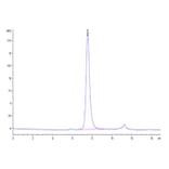 SEC-HPLC - Recombinant Cynomolgus macaque CD40 Protein (C-terminal His Tag) (A331899) - Antibodies.com