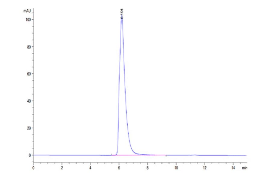 SEC-HPLC - Recombinant Cynomolgus/Rhesus macaque CD27 Protein (C-terminal Human Fc Tag) (A331903) - Antibodies.com