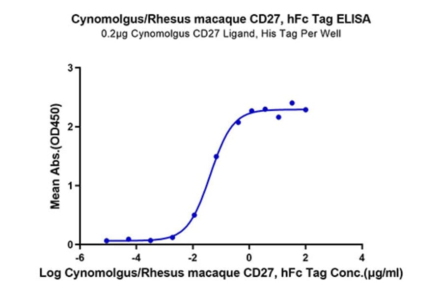 Standard Curve - Recombinant Cynomolgus/Rhesus macaque CD27 Protein (C-terminal Human Fc Tag) (A331903) - Antibodies.com