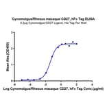 Standard Curve - Recombinant Cynomolgus/Rhesus macaque CD27 Protein (C-terminal Human Fc Tag) (A331903) - Antibodies.com