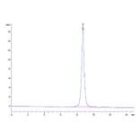 SEC-HPLC - Recombinant Cynomolgus/Rhesus macaque TNFRSF9 Protein (C-terminal His Tag) (A331904) - Antibodies.com