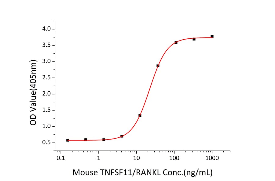 ICC - Recombinant Mouse RANKL Protein (N-terminal His Tag) (A331908) - Antibodies.com