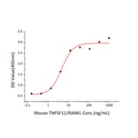 ICC - Recombinant Mouse RANKL Protein (A331909) - Antibodies.com