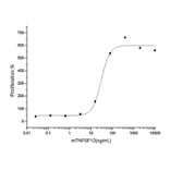 Proliferation Assay - Recombinant Mouse TWEAK Protein (C-terminal Rabbit Fc Tag) (A331911) - Antibodies.com