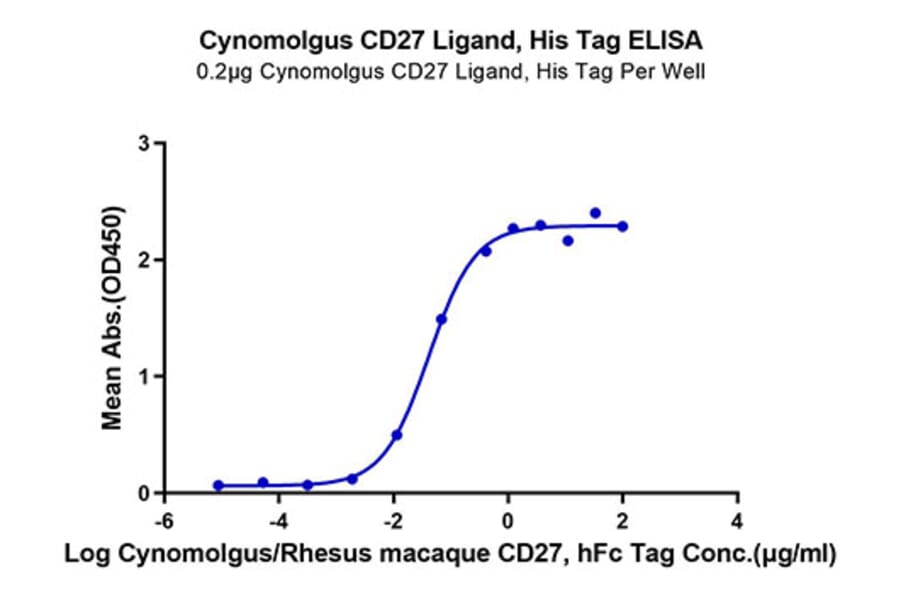 Standard Curve - Recombinant Cynomolgus macaque CD70 Protein (N-terminal His Tag) (A331918) - Antibodies.com