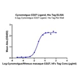 Standard Curve - Recombinant Cynomolgus macaque CD70 Protein (N-terminal His Tag) (A331918) - Antibodies.com