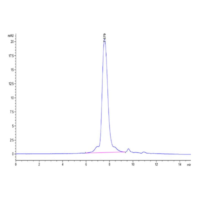 SEC-HPLC - Recombinant Cynomolgus macaque TROP2 Protein (C-terminal His Tag) (A331927) - Antibodies.com