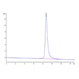 SEC-HPLC - Recombinant Mouse uPAR Protein (C-terminal His and Avi Tag) (A331931) - Antibodies.com