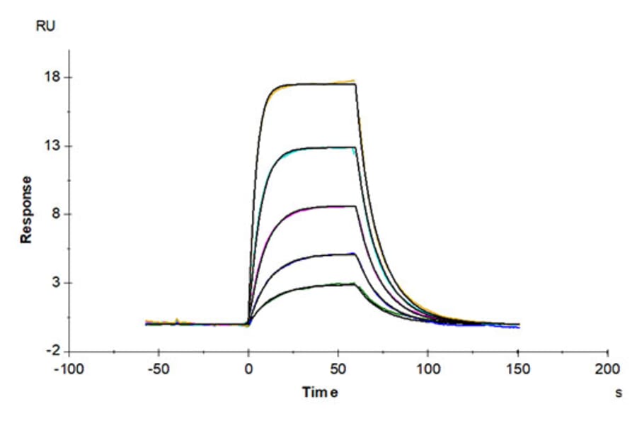 SPR Assay - Recombinant Mouse uPAR Protein (C-terminal His and Avi Tag) (A331931) - Antibodies.com