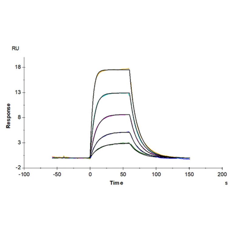 SPR Assay - Recombinant Mouse uPAR Protein (C-terminal His and Avi Tag) (A331931) - Antibodies.com