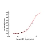 Standard Curve - Recombinant Rat VEGF-A Protein (C-terminal His Tag) (A331934) - Antibodies.com