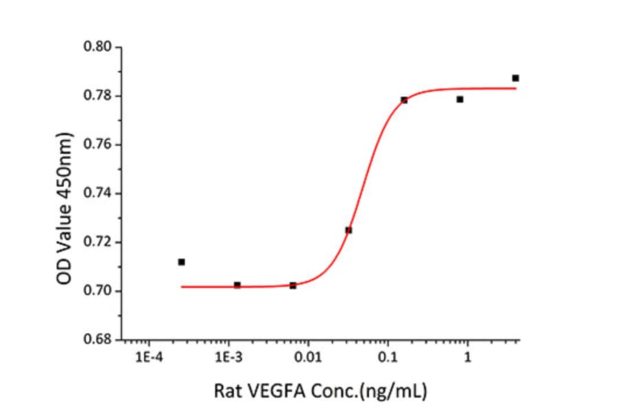 Proliferation Assay - Recombinant Rat VEGF-A Protein (C-terminal His Tag) (A331934) - Antibodies.com