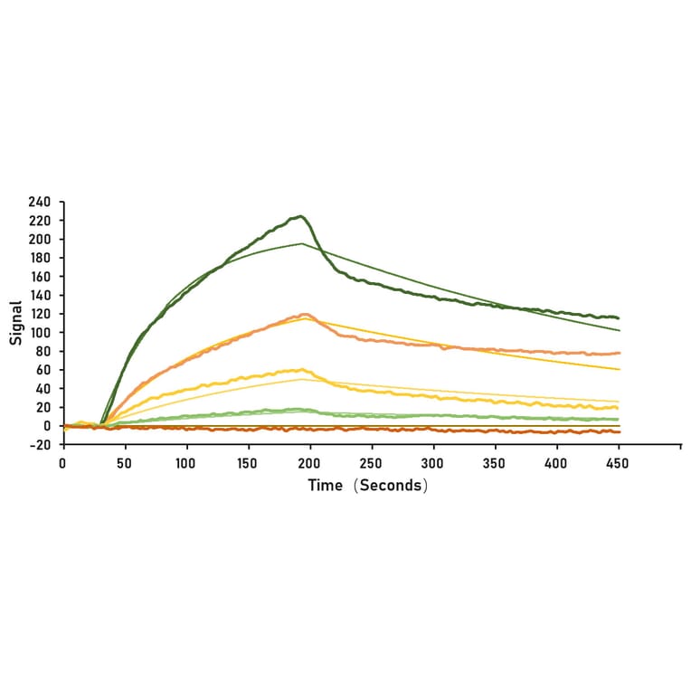 SPR Assay - Recombinant SARS-CoV-2 Spike RBD Protein (C-terminal Mouse Fc Tag) (A331944) - Antibodies.com