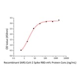 Standard Curve - Recombinant SARS-CoV-2 Spike RBD Protein (C-terminal Mouse Fc Tag) (A331944) - Antibodies.com