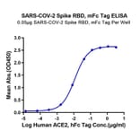 Standard Curve - Recombinant SARS-CoV-2 Spike RBD Protein (C-terminal Mouse Fc Tag) (A331944) - Antibodies.com