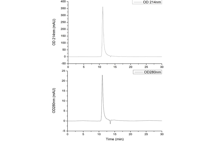 SEC-HPLC - Recombinant SARS-CoV-2 Spike RBD Protein (C-terminal His Tag) (A331945) - Antibodies.com