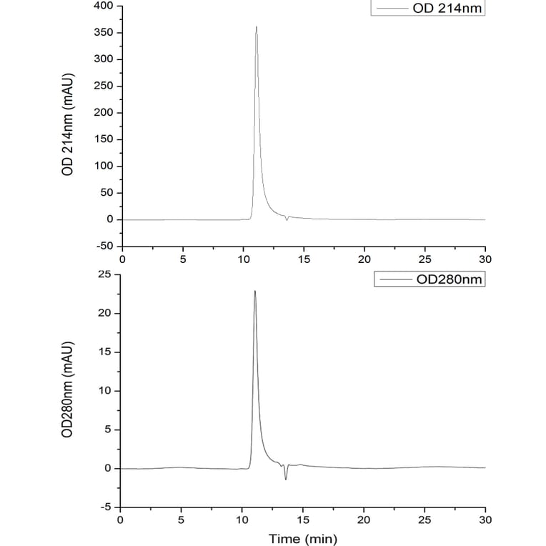 SEC-HPLC - Recombinant SARS-CoV-2 Spike RBD Protein (C-terminal His Tag) (A331945) - Antibodies.com