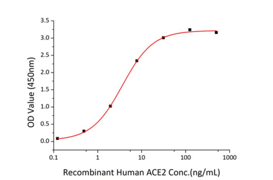 Standard Curve - Recombinant SARS-CoV-2 Spike RBD Protein (C-terminal His Tag) (A331945) - Antibodies.com