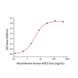 Standard Curve - Recombinant SARS-CoV-2 Spike RBD Protein (C-terminal His Tag) (A331945) - Antibodies.com