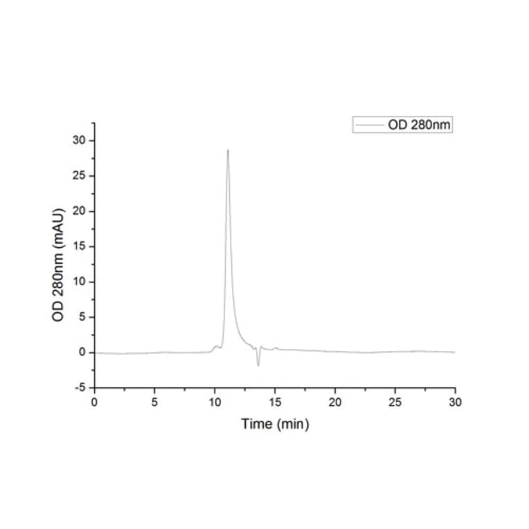 SEC-HPLC - Recombinant SARS-CoV-2 Spike RBD Protein (C-terminal His Tag) (A331946) - Antibodies.com