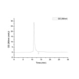 SEC-HPLC - Recombinant SARS-CoV-2 Spike RBD Protein (C-terminal His Tag) (A331946) - Antibodies.com