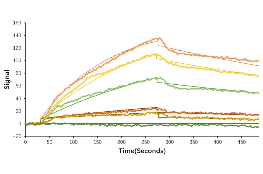 SPR Assay - Recombinant SARS-CoV-2 Spike RBD Protein (C-terminal His Tag) (A331946) - Antibodies.com