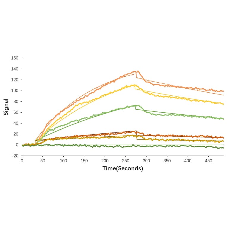 SPR Assay - Recombinant SARS-CoV-2 Spike RBD Protein (C-terminal His Tag) (A331946) - Antibodies.com